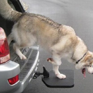 車(chē)用便攜寵物階梯