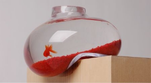 “柔軟”的魚缸