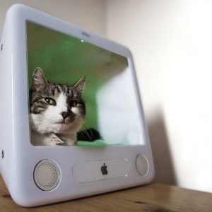電子貓窩