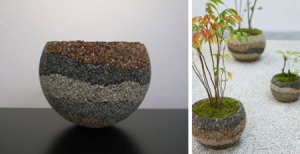 環(huán)保營養(yǎng)花盆