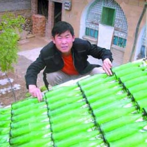 啤酒瓶太陽能熱水器
