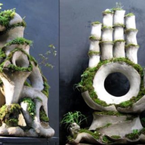 苔蘚雕塑賞