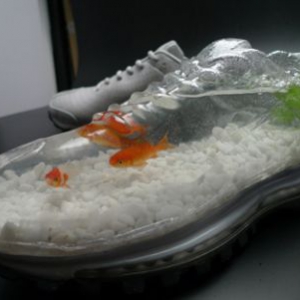 耐克鞋魚缸
