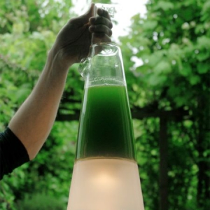 生物能源燈
