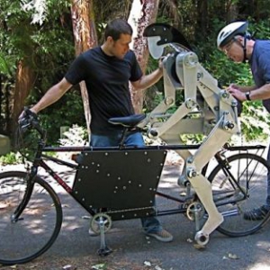 有趣的雙人自行車伴侶